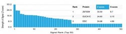 ZBTB39 Antibody (PCRP-ZBTB39-1A11) - Azide and BSA Free, Novus Biologicals